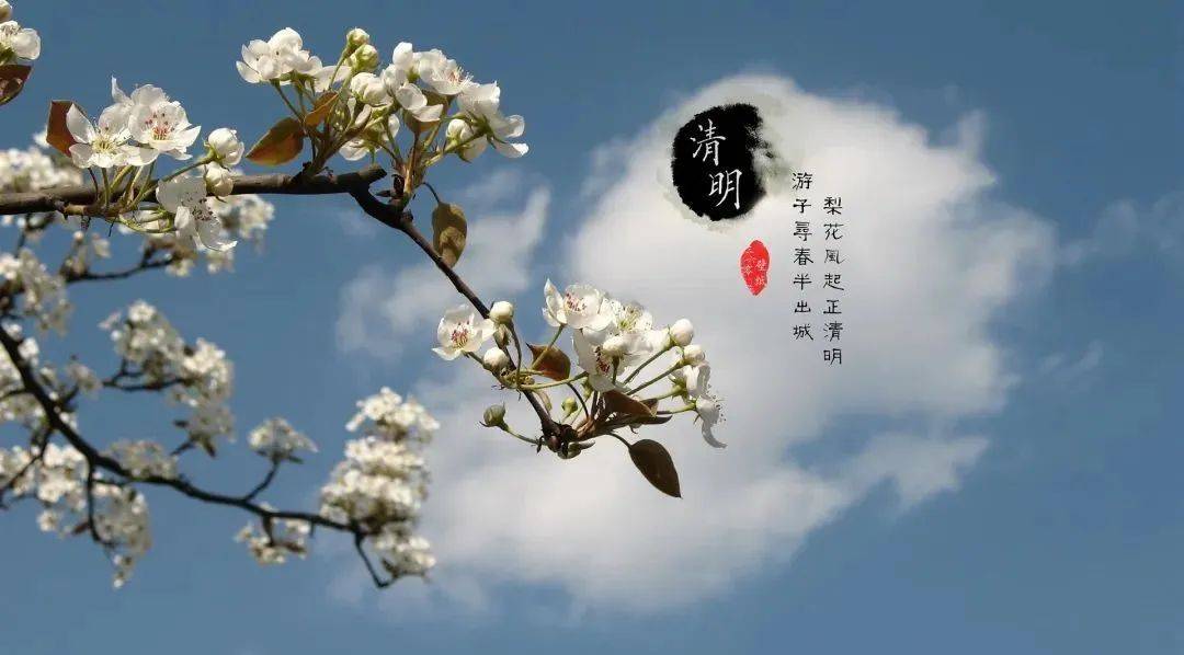 清明节丨清明节的由来及习俗