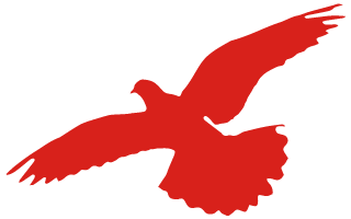 国家版图知识小测试一