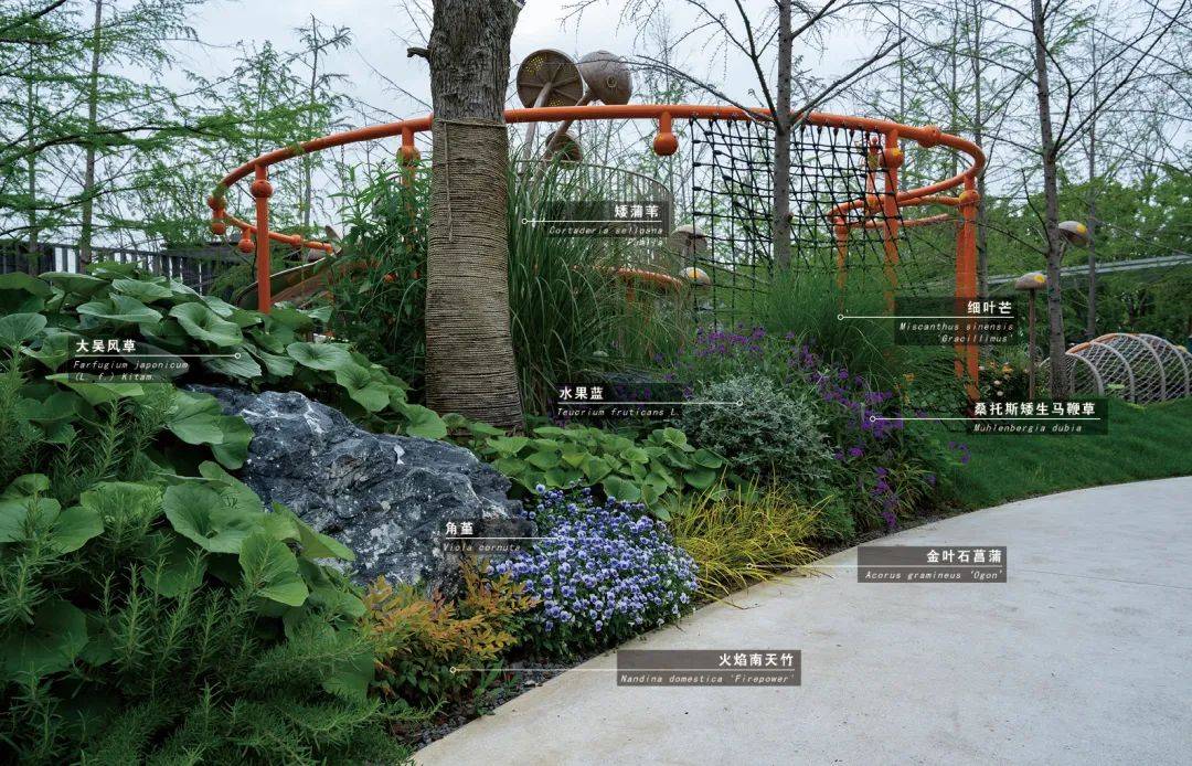 80 花境植物配置图分享:花境设计参考宝典_项目名称_摄影_景观