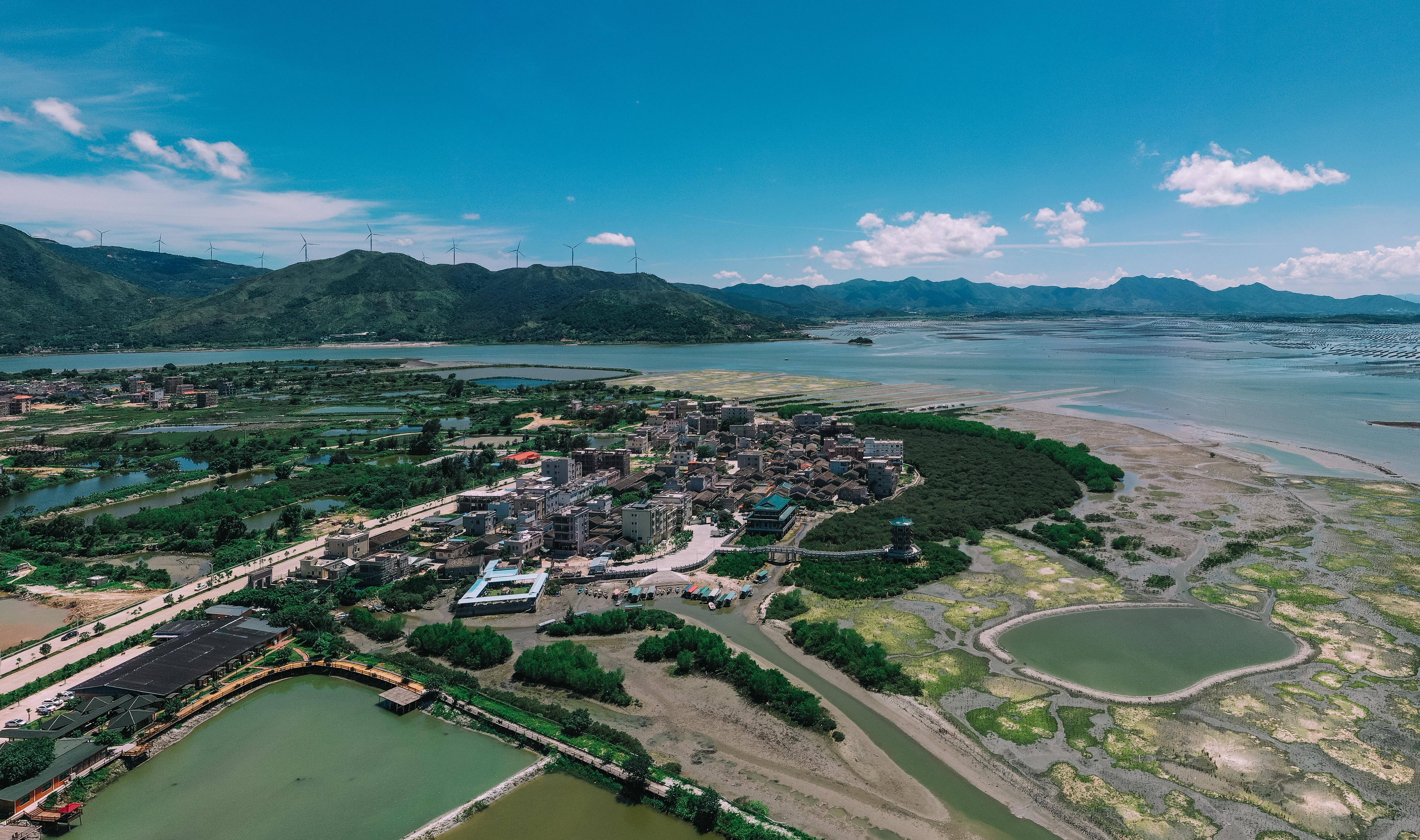 古树变摇钱树湿地成聚宝盆看绿美惠州如何点绿成金丨数说广东