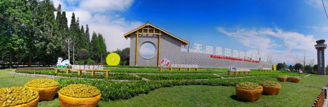 速看!天马镇"项目攻坚年"