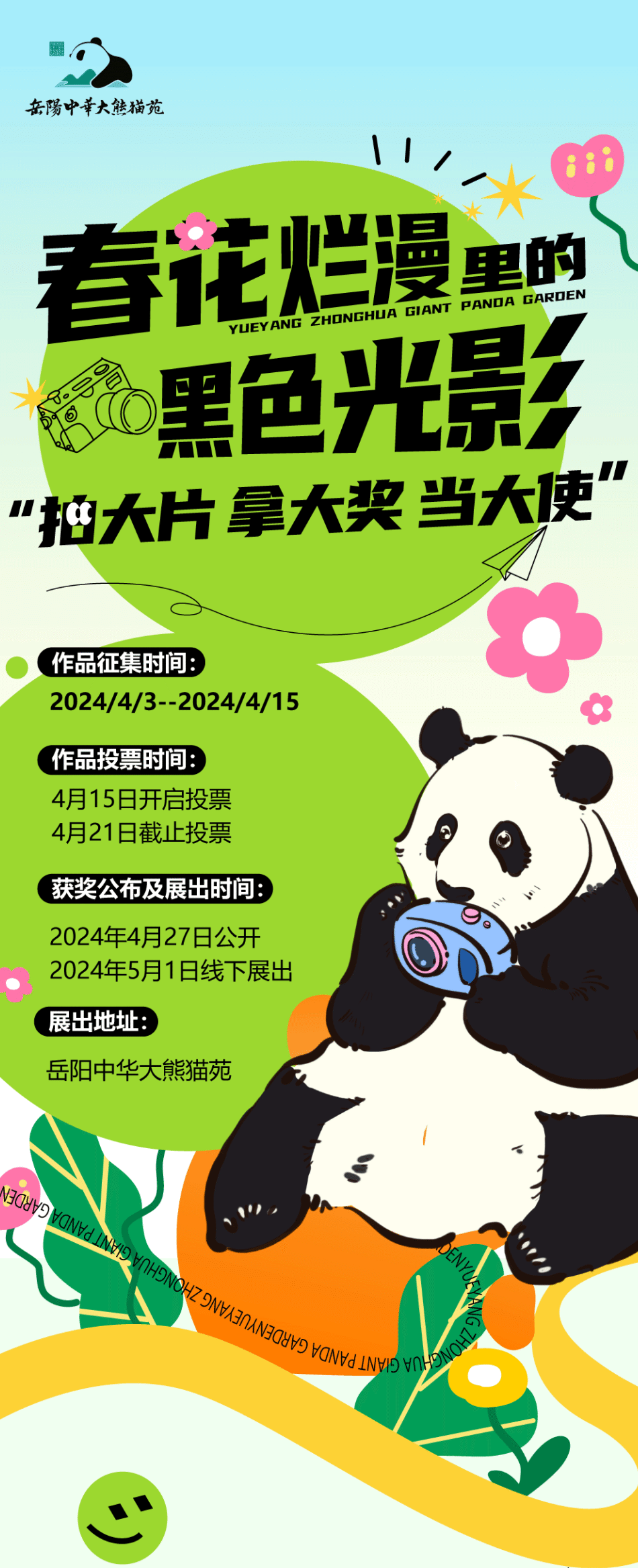 岳阳大熊猫请你为它来拍照有奖金的喔