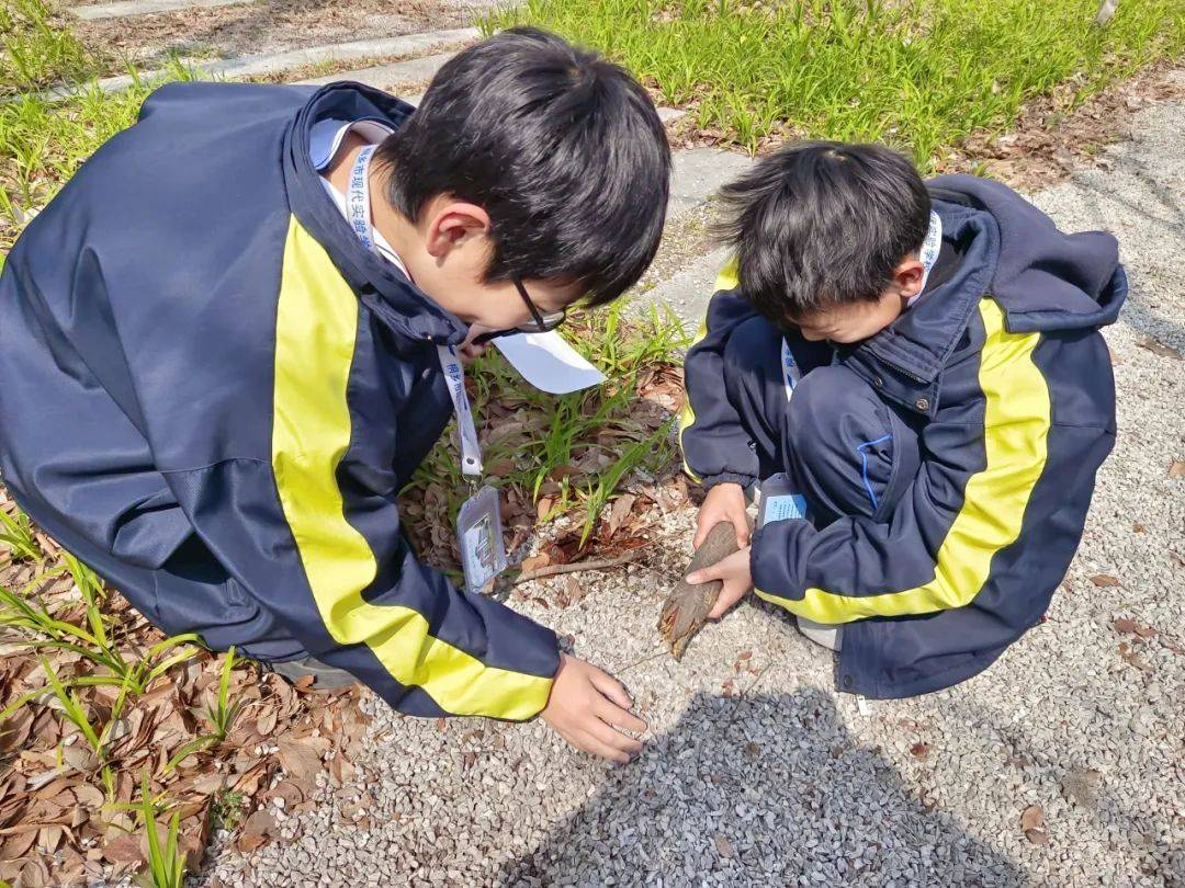 ⑥|点亮五感,共绘春天——桐乡市现代实验学校开展心馨航线"寻宝"活动
