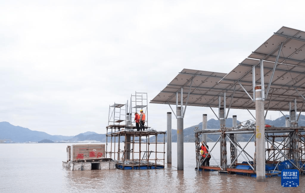 全国首个核光储多能联合滩涂光伏项目平稳运行