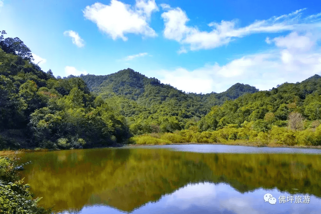 来秦岭感受一曲属于春天的交响乐