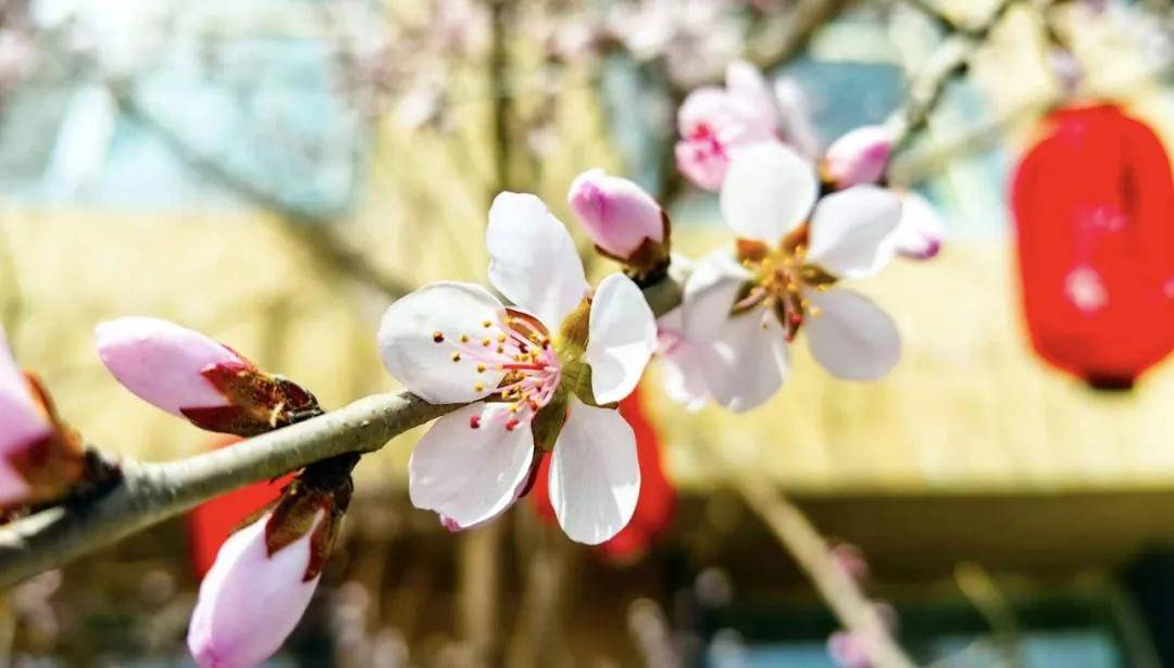 最新预报!沈阳最高气温将冲上22℃!就在假期的这一天……_天气_公园_