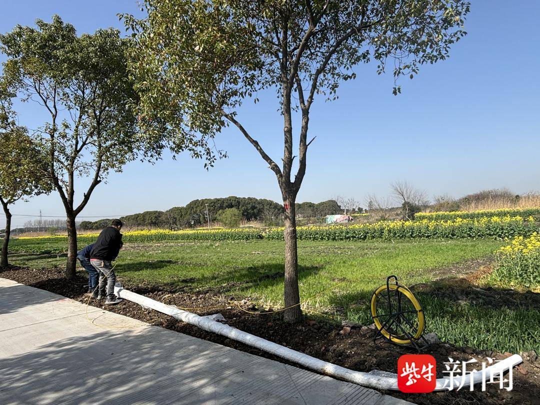 我为群众办实事常熟市董浜镇观智村安装路灯暖民心点亮村民新生活