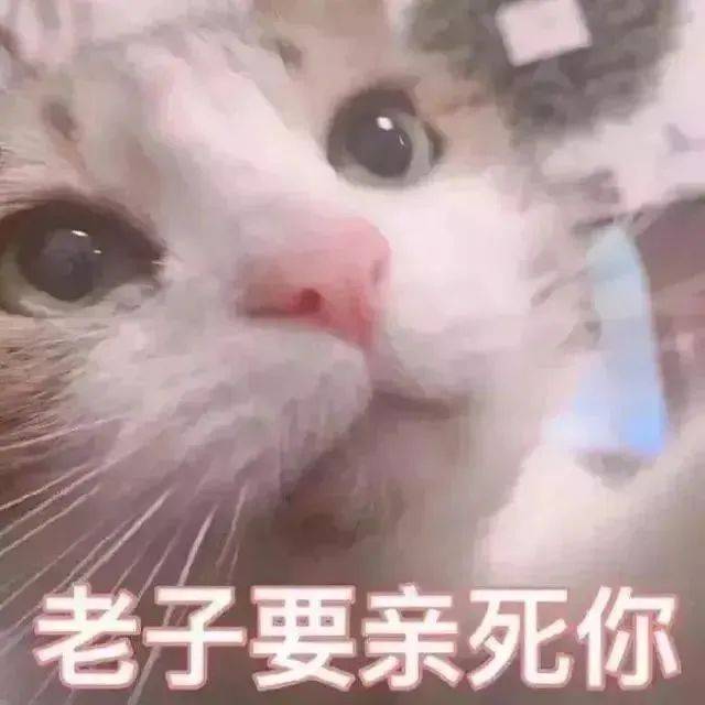 情侣涩涩表情包