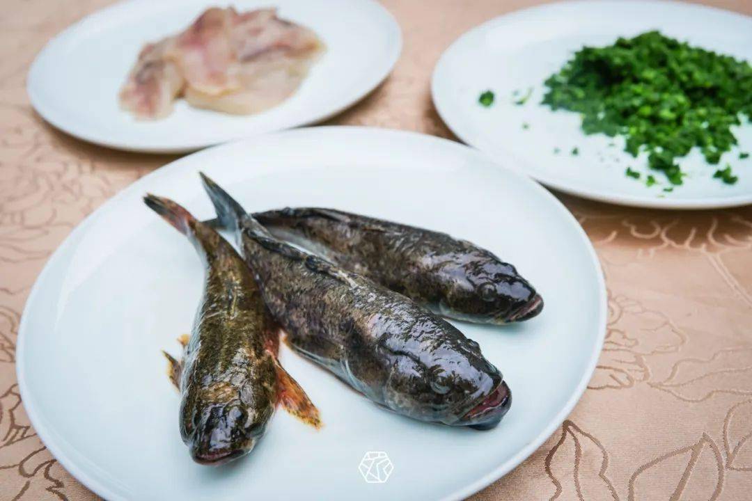 七头一脑,春菜正当"食"_河蚌_青团_螺丝