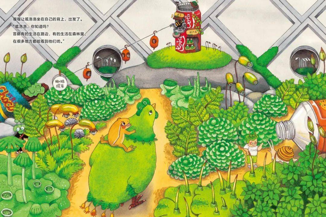 小世界探藓记今年的第一次春游就来这里吧