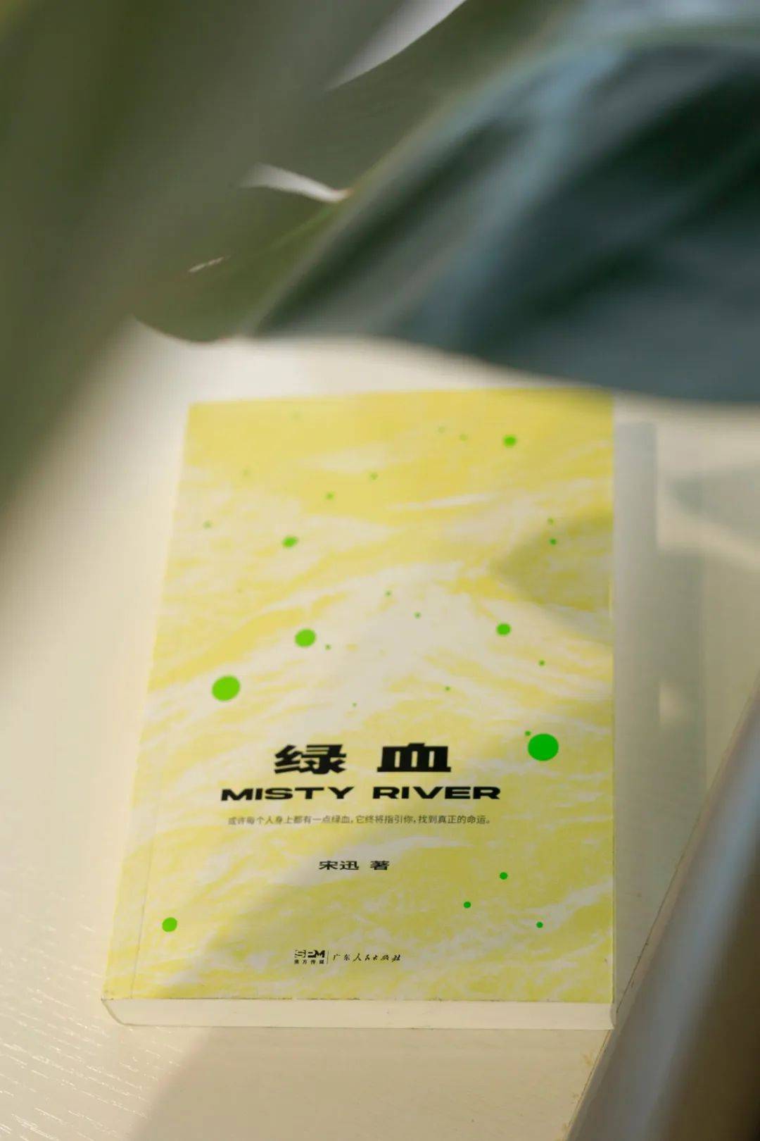 我想写一写我们这代人寻找信念的故事我渴望找到答案绿血新书上架