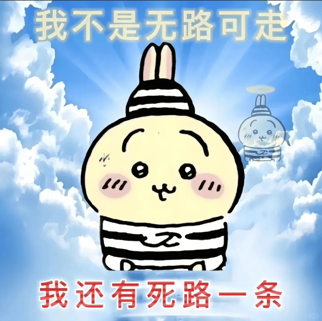 的朋友,它们有着水汪汪的豆豆眼和人畜无害的可爱面容,但表情包搭配的