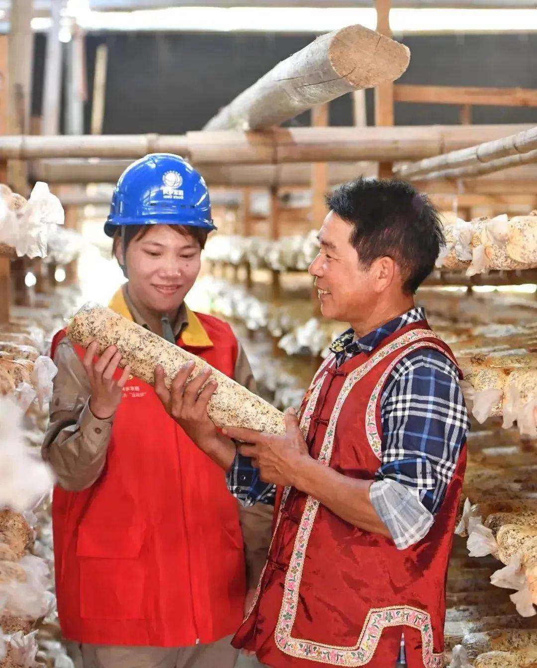 国网福建电力2023年履责行动之向心而行专业专注用心服务