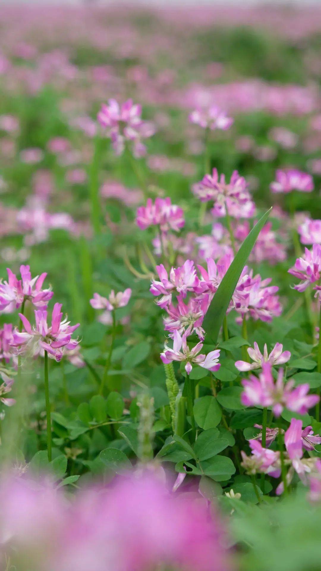 今天15时02分,瓯海正式进入