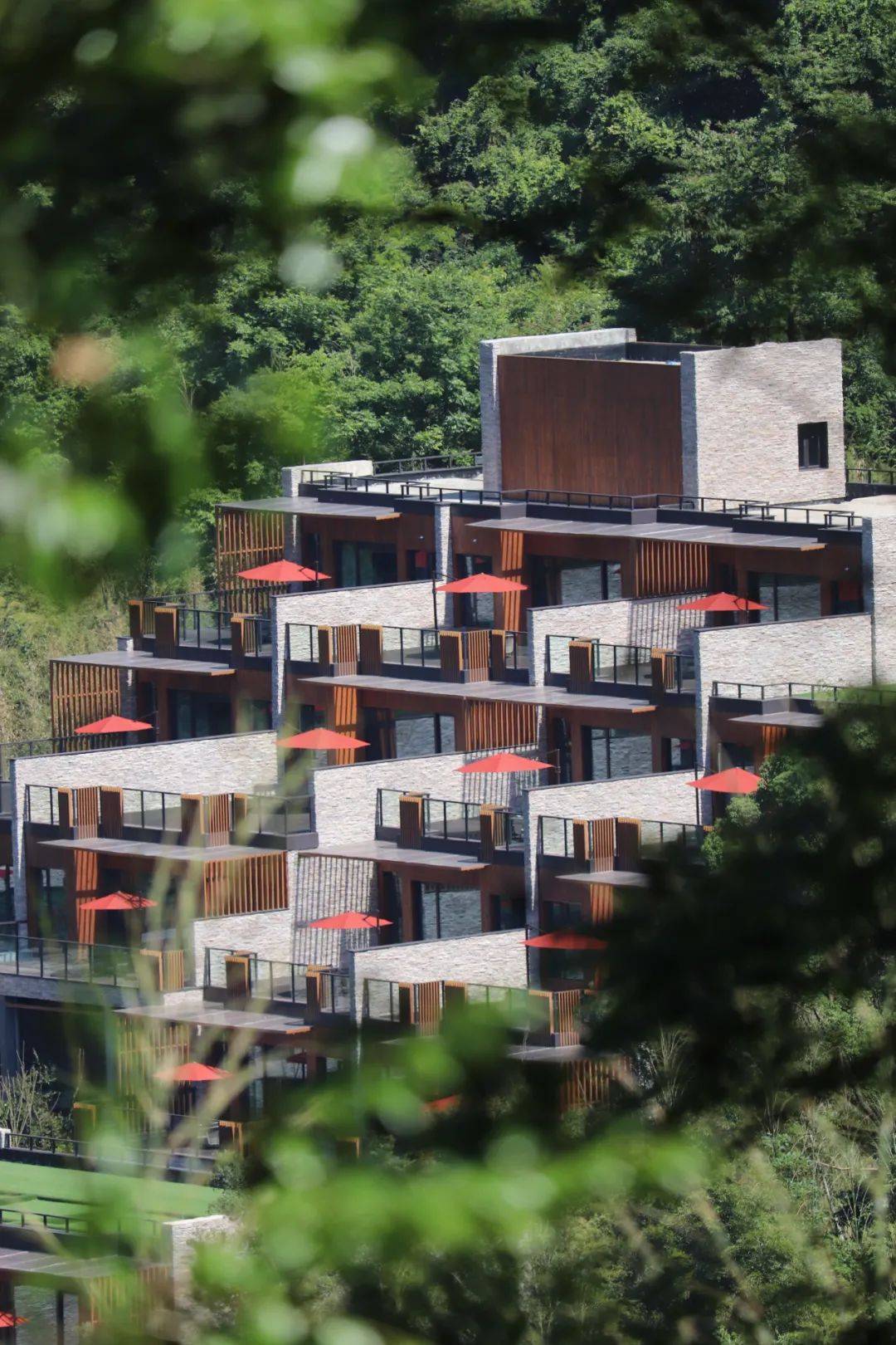 春日的安岚直降15k私汤别墅竹林秘境还挖到不为人知的避世古村落