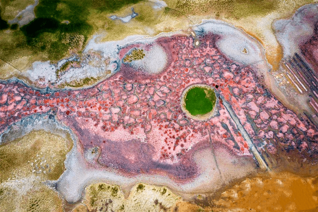 别宅啦阿拉善周边自驾游竟有这么多好去处