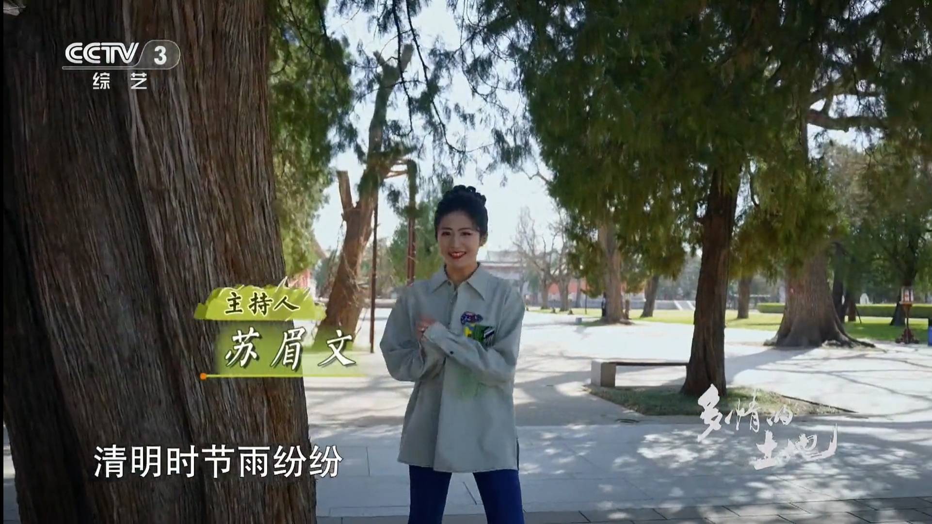 央视综艺频道:终于有了能顶替李思思的新女主持人,首秀可圈可点_苏眉