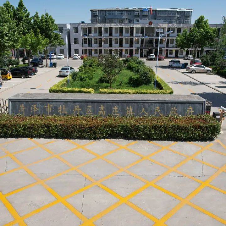 乡村好时节2024高庄镇第六届梨花节盛装启幕