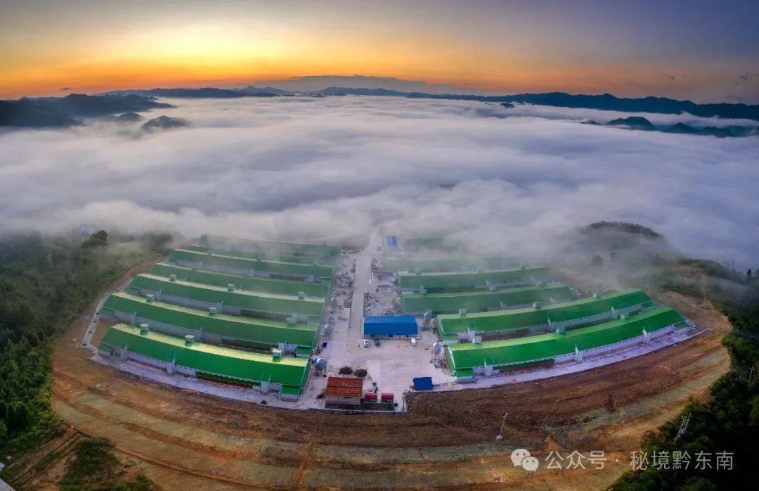 【时讯】贵州三穗:鸭产业融合发展铸就新辉煌_三穗县_养殖_加工