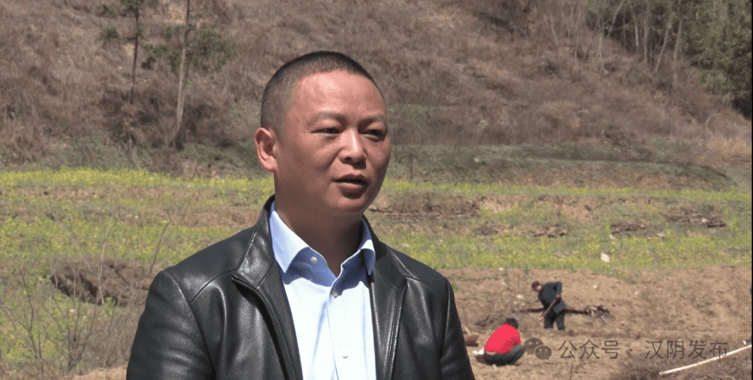 生态汉阴林下生金擦亮生态底色