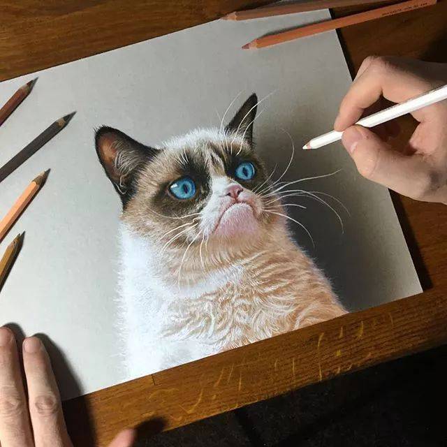 这彩铅画立体感太强了!彩铅界的写实派果然厉害!_系列_作品_绘画
