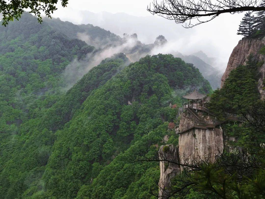 登上"鸡峰山"欣赏云海风景~_登山_踏青_宝鸡