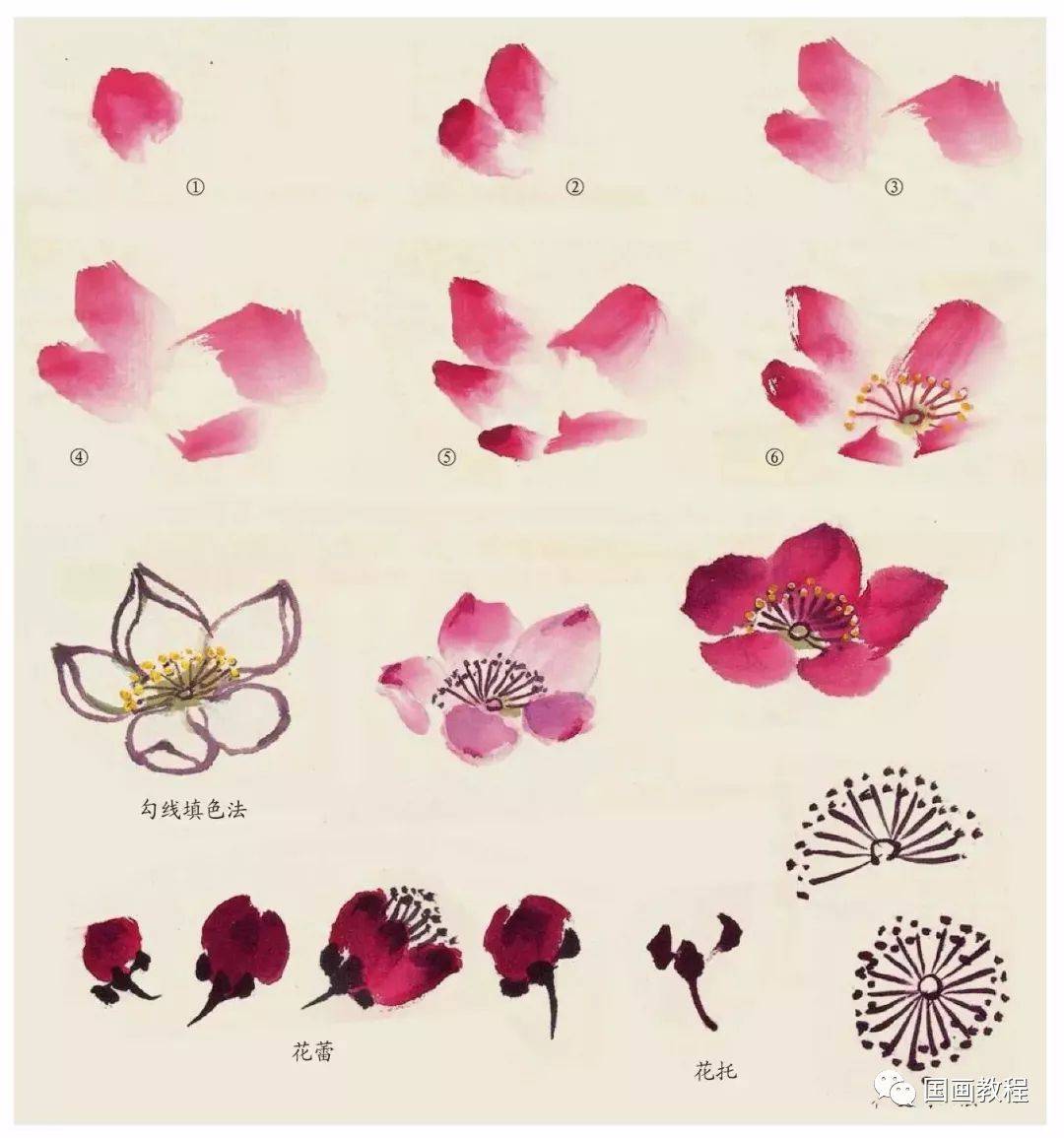 【国画教程】桃花的画法