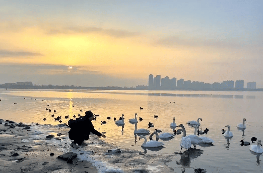 威海被中国铁路推荐_成站_荣成_天鹅湖