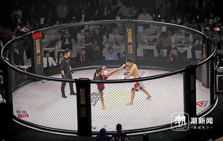 "世界格斗大赛——王冠军赛"在杭州开战_中国_比赛_体育