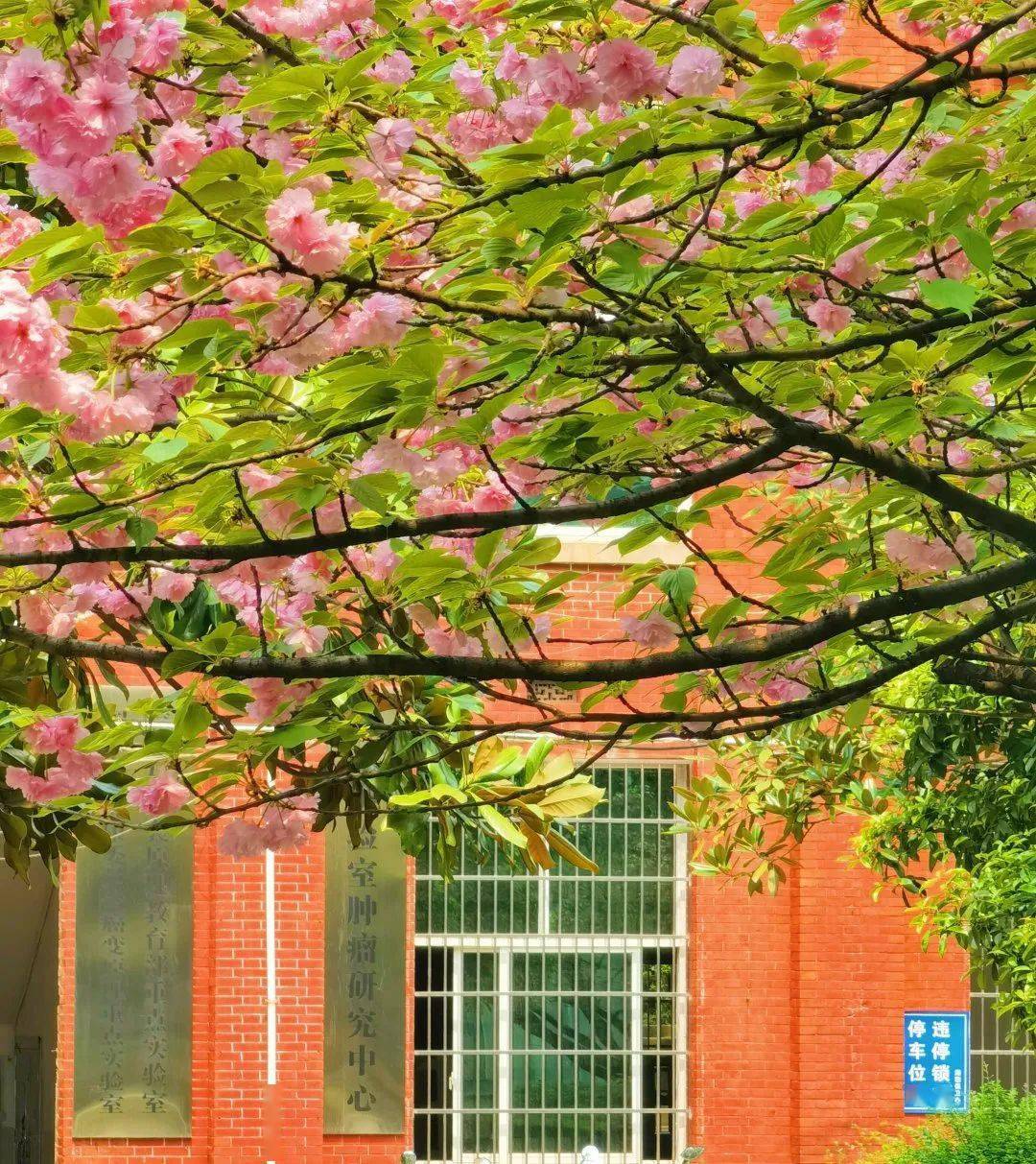 就等你啦来中南一骑走花路