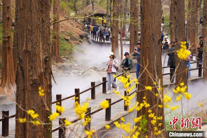 抚今追昔踏青赏花清明假期218万人次游北京市属公园