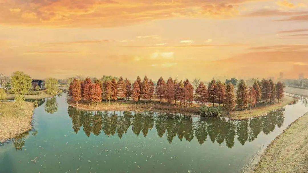 四月记得一定要去一趟湖州的湿地