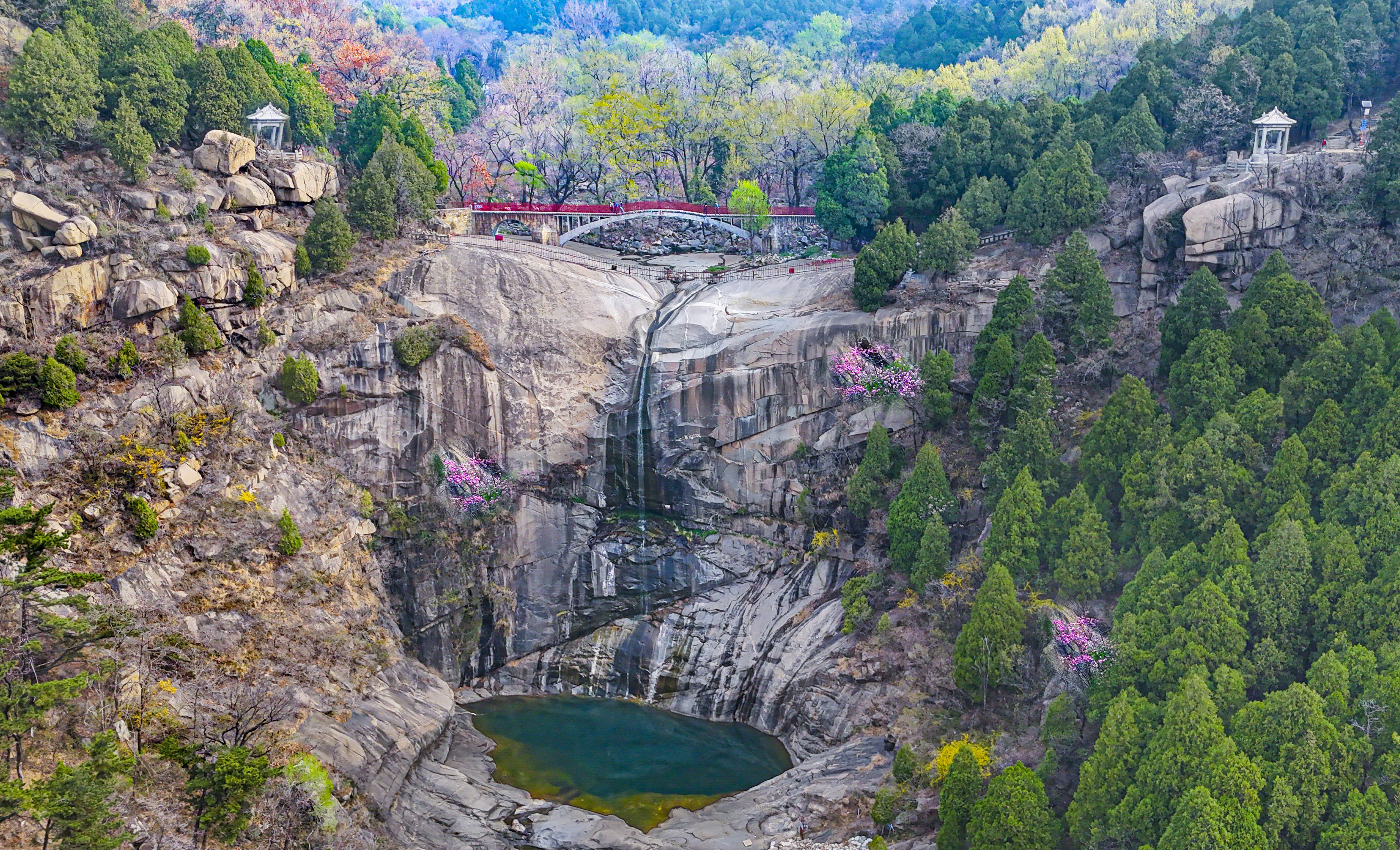 泰山图集:龙潭桃花