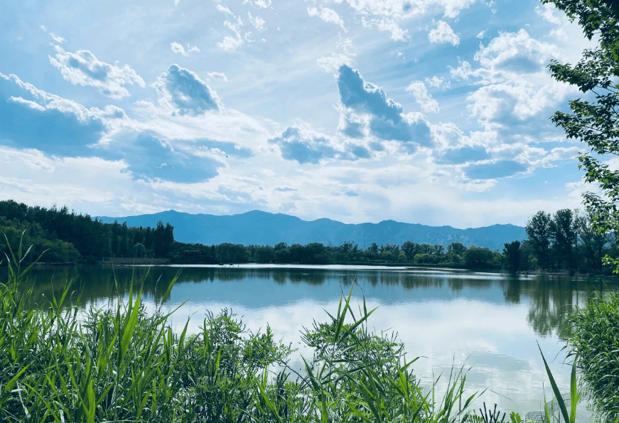 健身好去处翠湖国家城市湿地公园走起