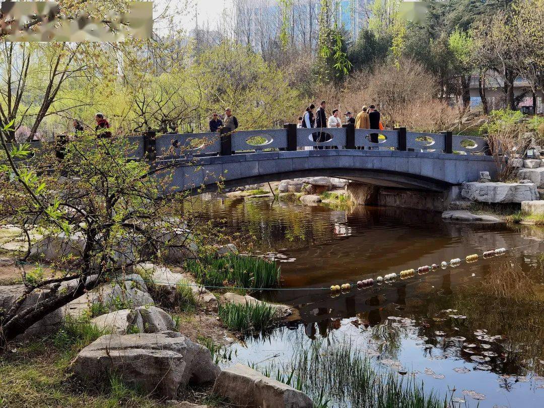 漫行潍坊植物园