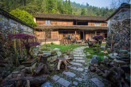 鲁永筑从一个黄岩蜜桔到一堆黄岩朋友