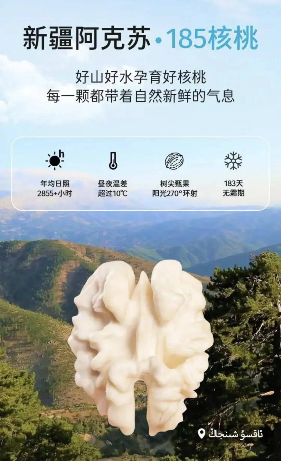 去皮鲜核桃仁开团价399元10袋原产自新疆青皮嫩核桃个大饱满凉拌热炒