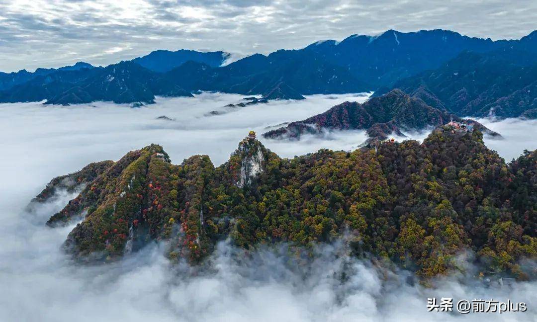 长安区踏春赏花游入选春季乡村休闲旅游精品线路及景点