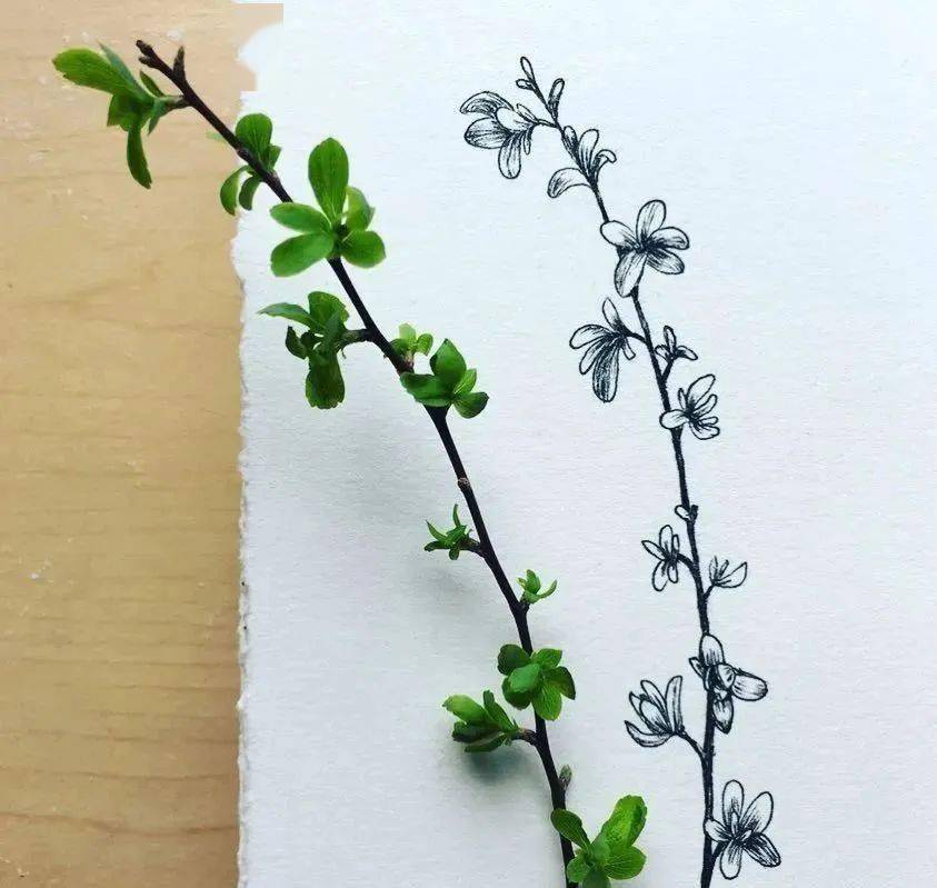 我长了一双扫描眼,还有一双复制手_动态_头像_画法