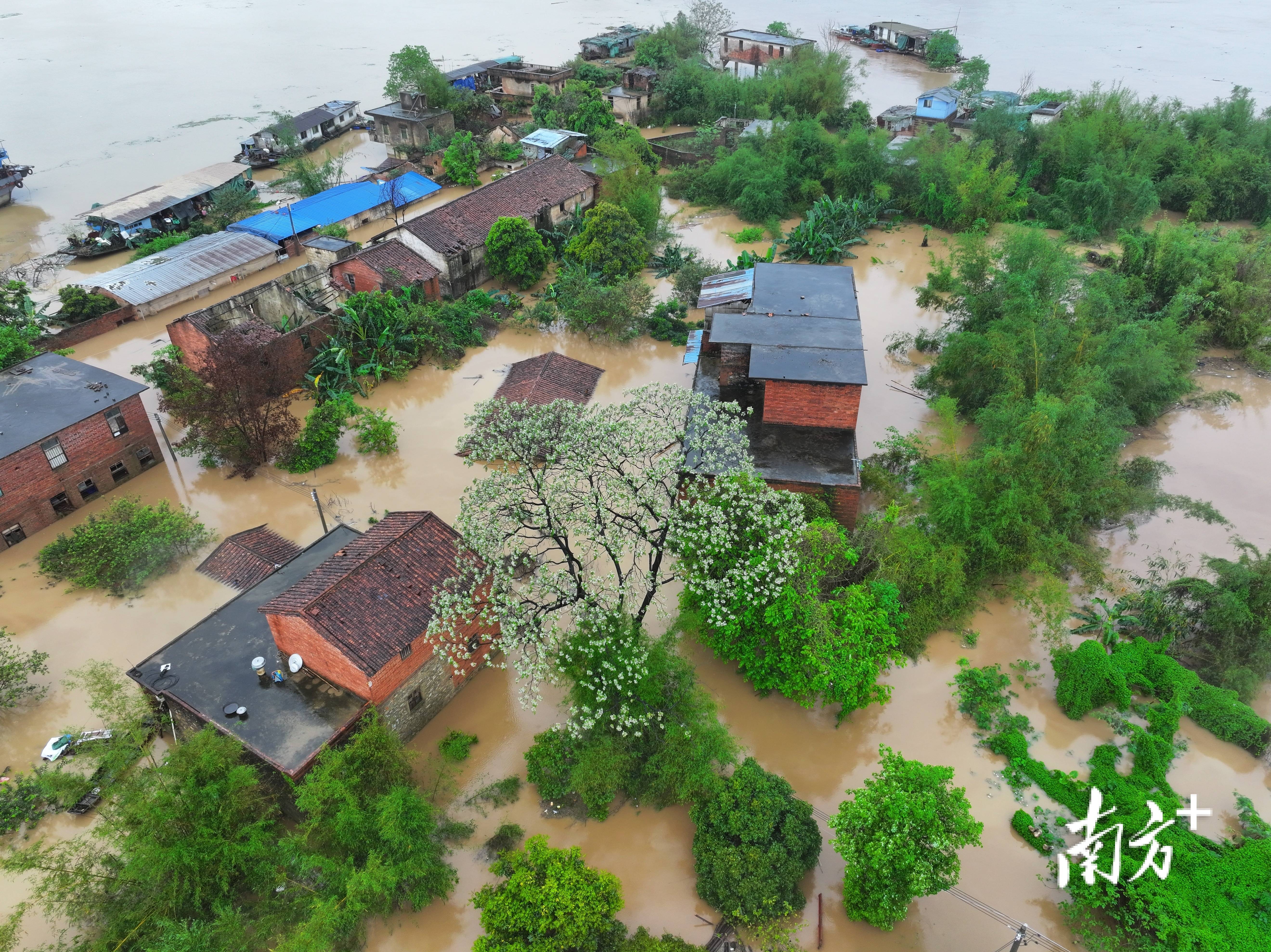 北江首个编号洪水为何来得这么早洪水编号有哪些门道