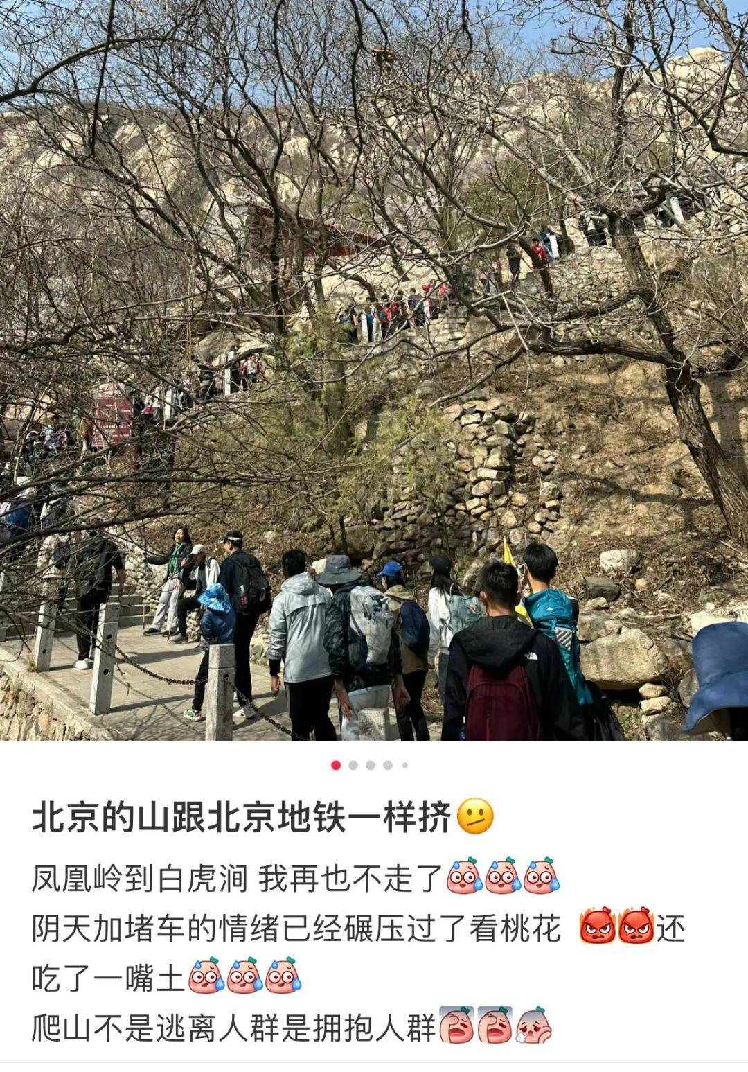 1080_1547竖版 竖屏