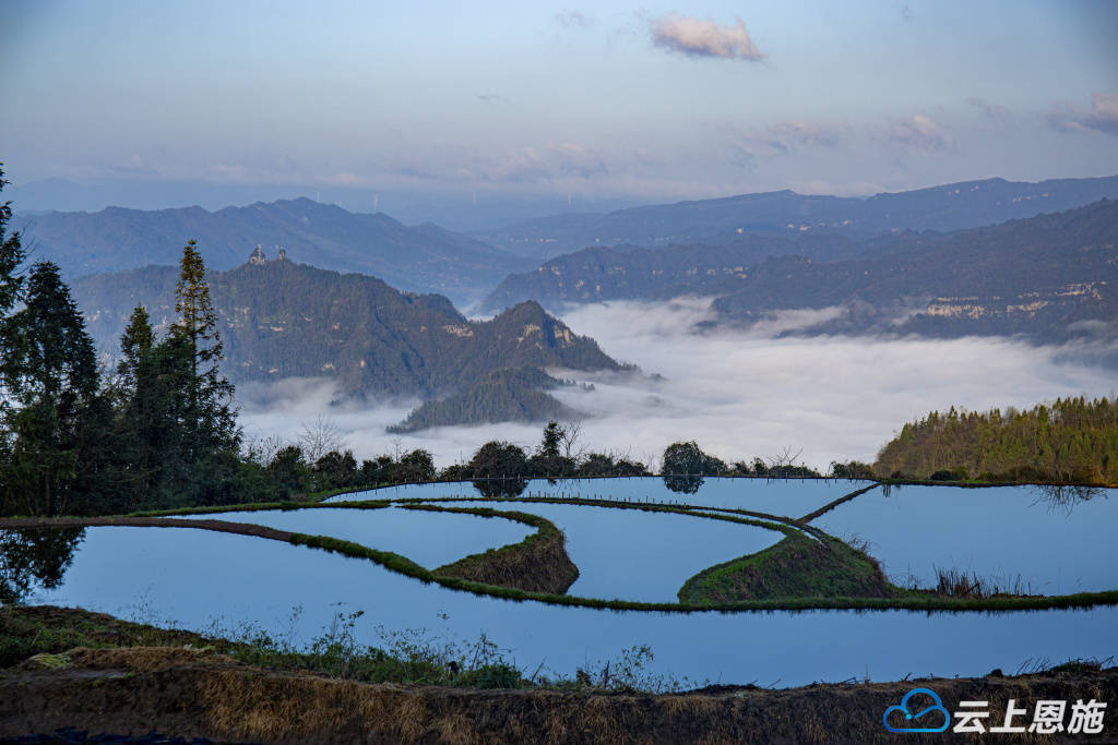 利川:凉风垭上田如镜