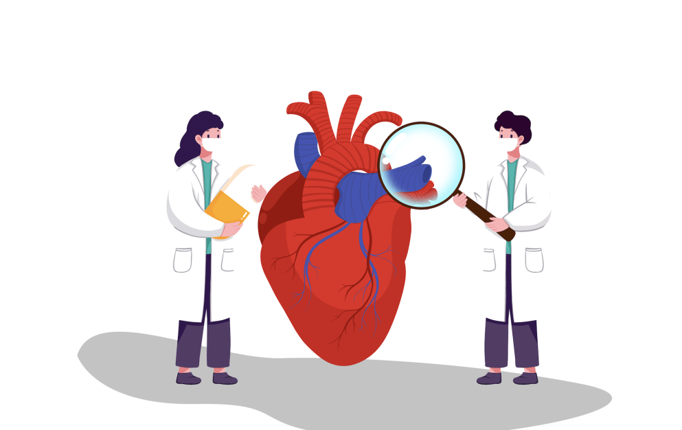 总胆固醇和甘油三酯水平,防止低密度脂蛋白胆固醇氧化,帮助血管再生