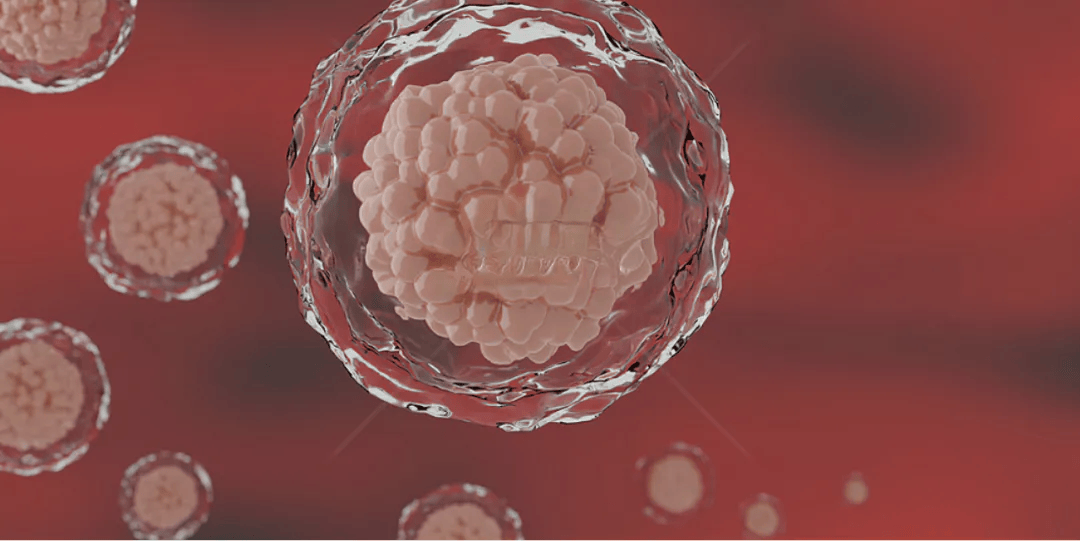 炎症是万病之源,干细胞可以降低炎症反应,修复细胞_免疫_损伤_过激