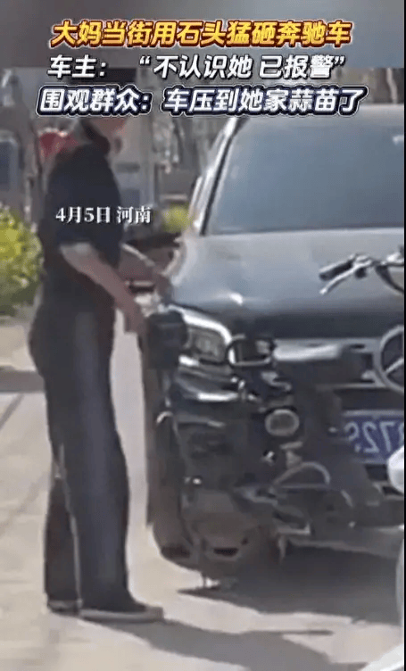 大妈因蒜苗被轧坏怒砸奔驰律师发声或将承担刑事责任
