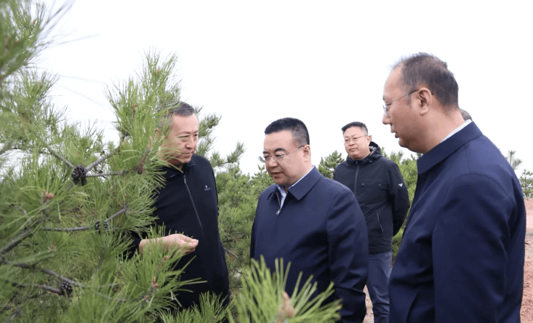 乔小军开展巡林并检查森林草原防灭火工作