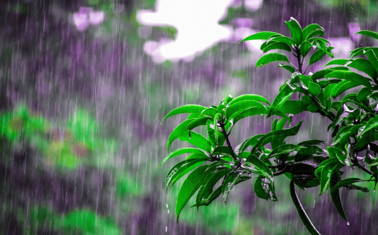 中雨 天气图片