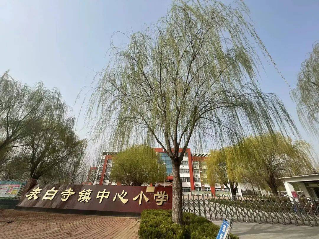 光影流年丨齐河校园春满园四