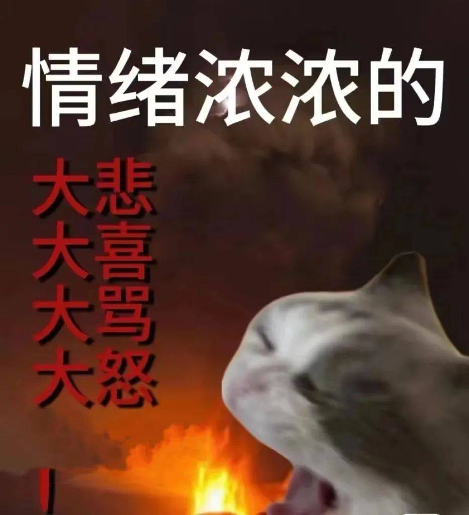 随便吧都可以你被确诊为淡人了吗