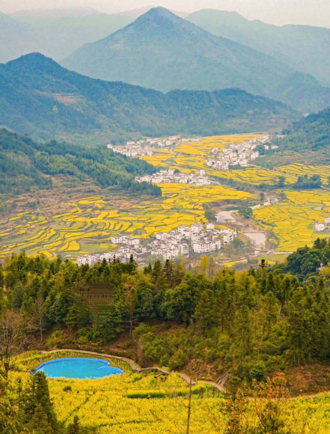 让人魂牵梦萦的徽州让人心动的春天